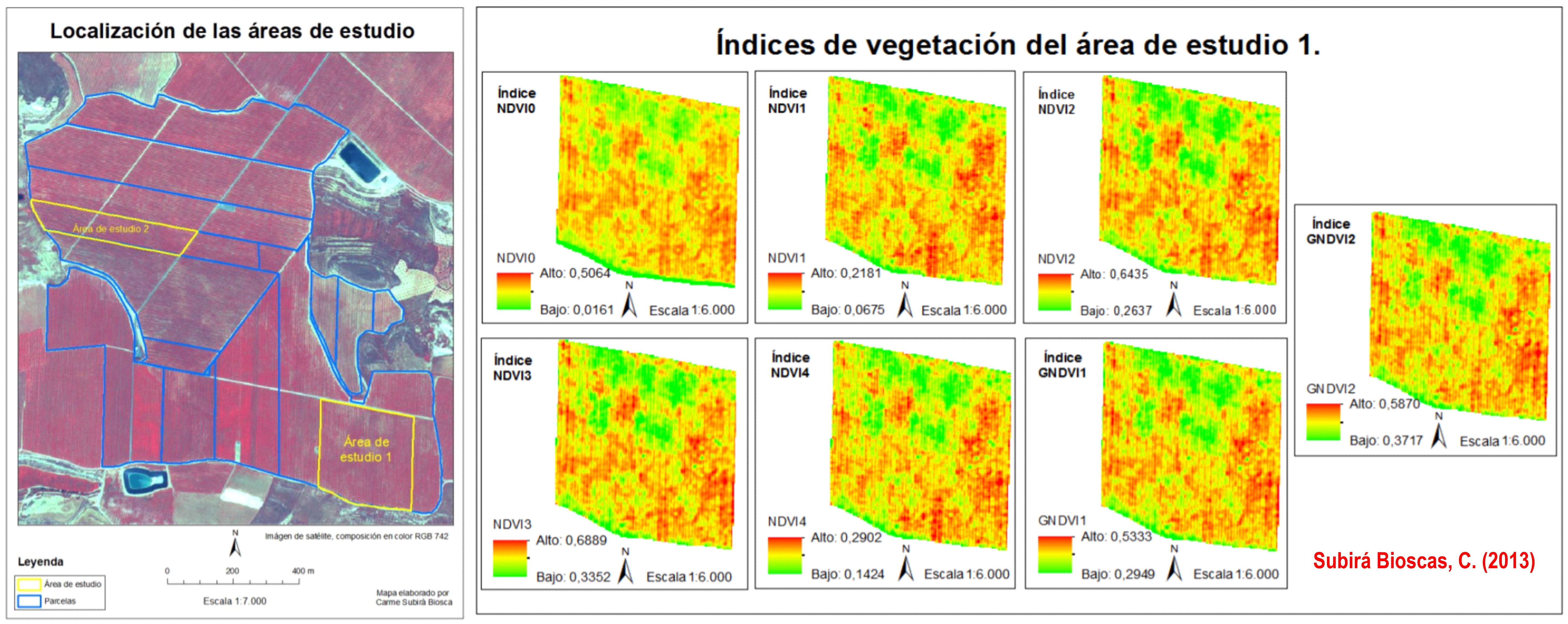 Zonificación de parcelas frutícolas a partir de índices de vegetación de imágenes del satélite Worldview-2 con fines de agricultura de precisión. Fuente: Subirá Bioscas, C.(2013). Trabajo Fin de Máster. https://eprints.ucm.es/24203/